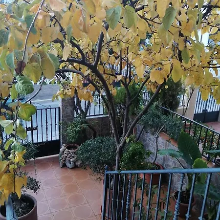 La Casa De La Abuela Maria *
